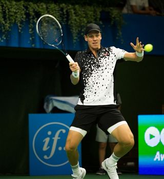 Tomaš Berdych in Grigor Dimitrov v finalu Stockholma!