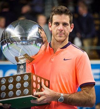 Juan Martin del Potro veliki zmagovalec Stockholma