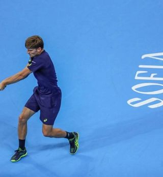 Dimitrov in Goffin se bosta udarila za lovoriko v Sofiji