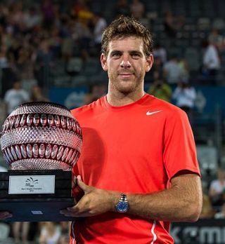 Juan Martin del Potro 'raztrgal' Tomica v finalu Sydneya!