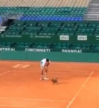 VIDEO! Novak Djokovič treniral s psom Teslo!