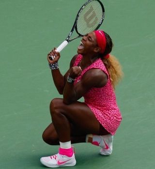 Tedni na prvem mestu lestvice: Serena prehitela Hingisovo