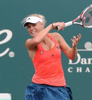 Wozniacki in Janković med seboj v polfinalu Charlestona!