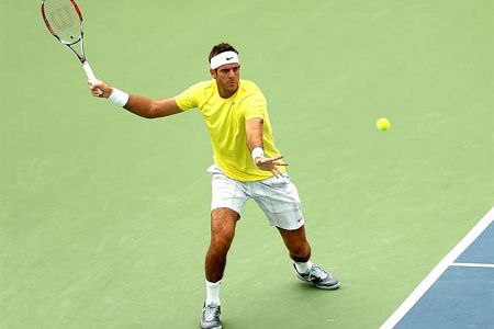 Del Potro in Isner v finalu Washingtona!