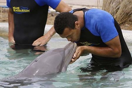 VIDEO, FOTO! Jo Wilfried Tsonga se dobro razume z delfini!